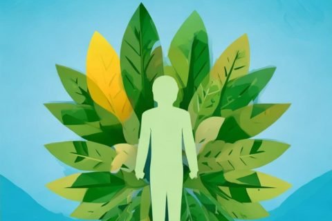 体检报告健康风险评估：了解您的健康状态