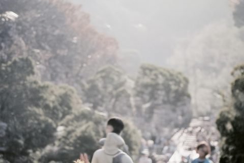 病假条怎么开？详细流程指南