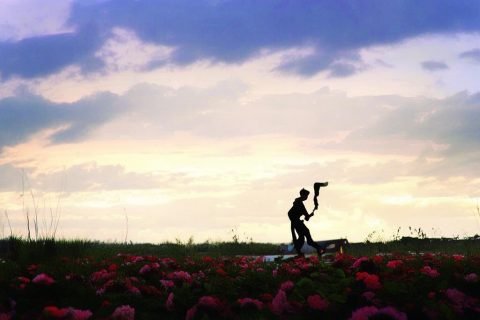 体检报告如何打印纸质版：详细步骤指南
