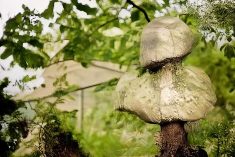 体检报告存档和管理的建议