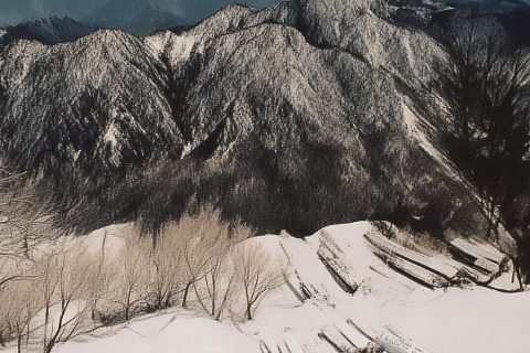 住院病历纠纷处理流程：如何有效解决问题